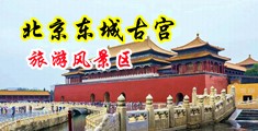 插入少妇逼里视频中国北京-东城古宫旅游风景区